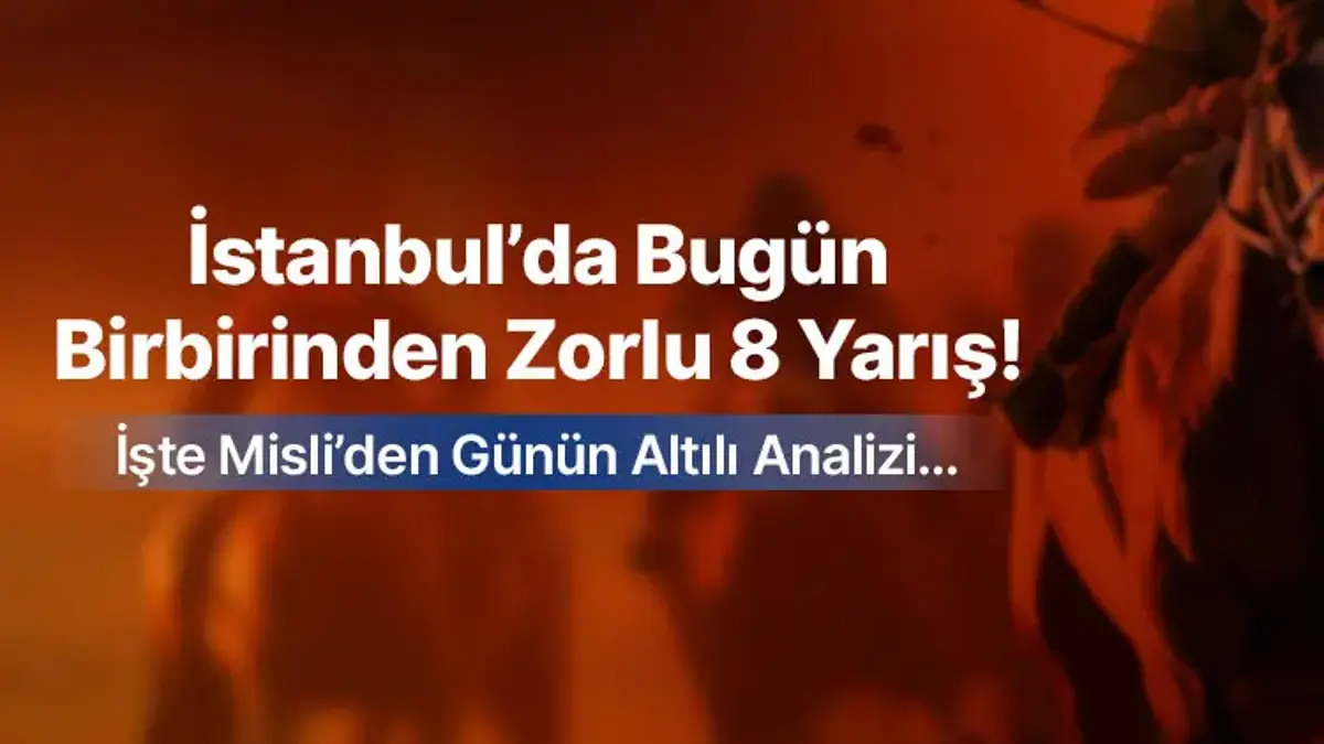İstanbul’da Bugün Birbirinden Zorlu 8 Yarış ! İşte Misli’den Günün Altılı Analizi…