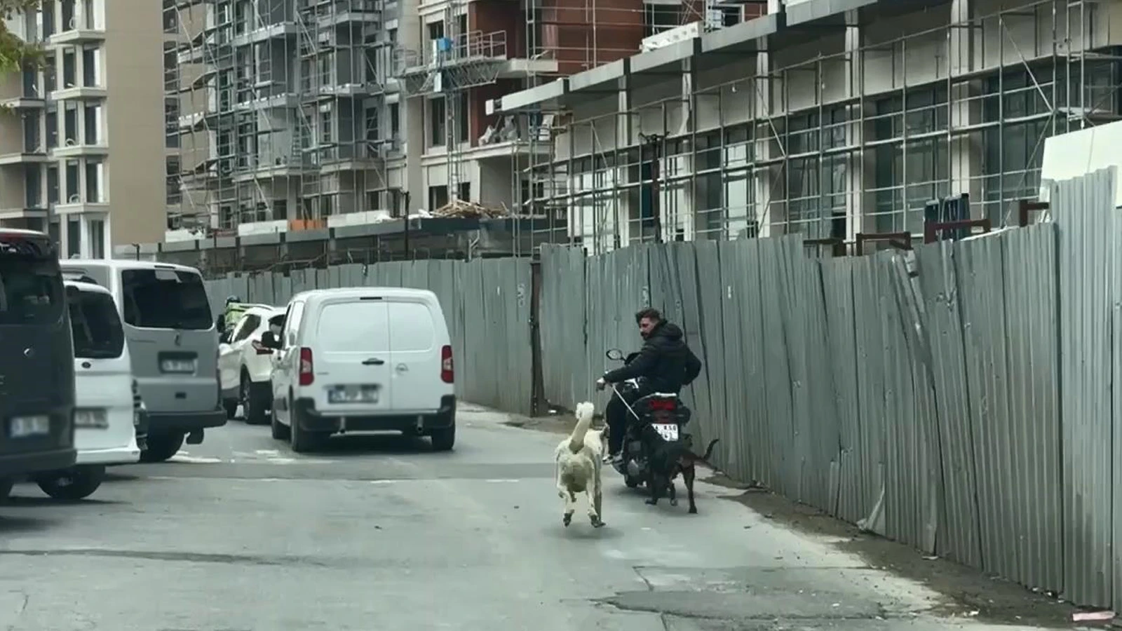 Böyle vicdansızlık görülmedi: Motosiklete bağladığı köpeği metrelerce koşturdu