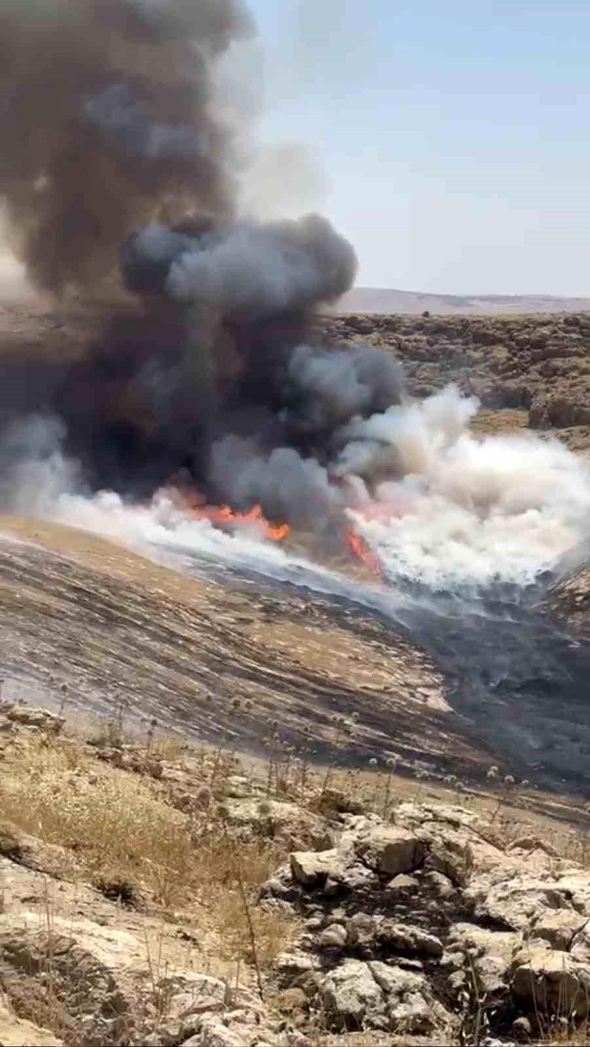 Mardin'de çıkan ot yangını söndürüldü