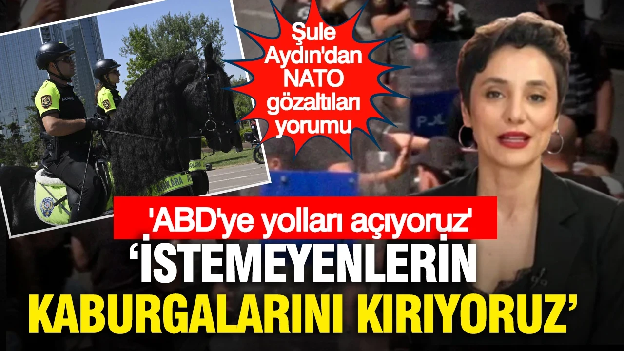 Şule Aydın'dan NATO gözaltıları yorumu: "ABD'ye yolları açıyor, istemeyenlerin kaburgalarını kırıyoruz"