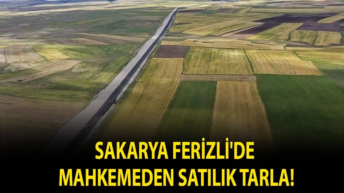 Sakarya Ferizli'de mahkemeden satılık tarla!