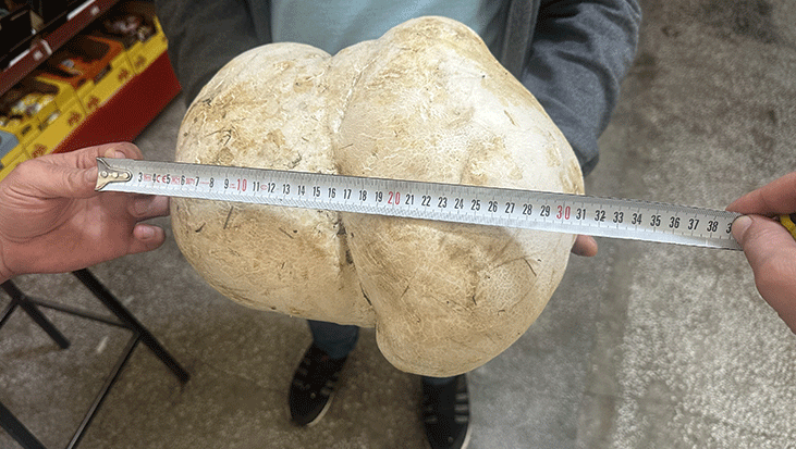 Isparta'da bahçesini temizlerken buldu! Tam 3 kilo 470 gram...