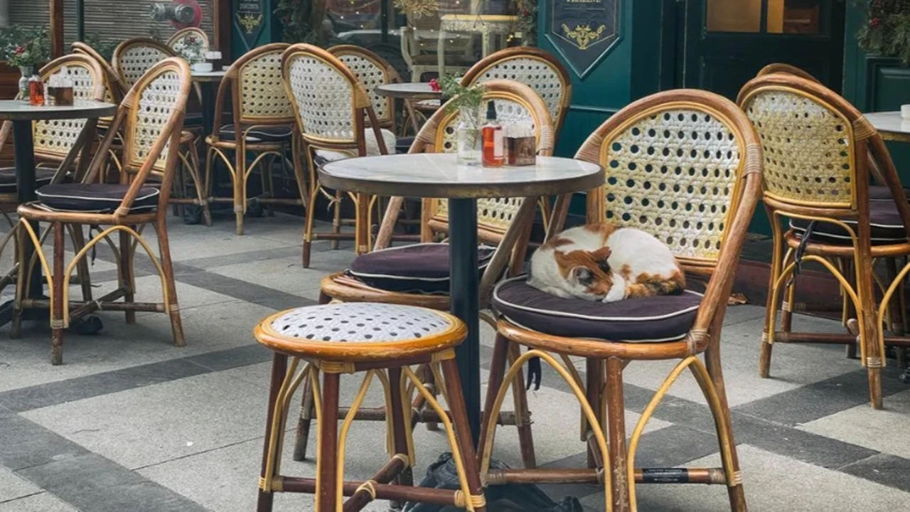 Restoran ve kafelerde bir dönem sona eriyor! Ne bahçede ne de terasta…