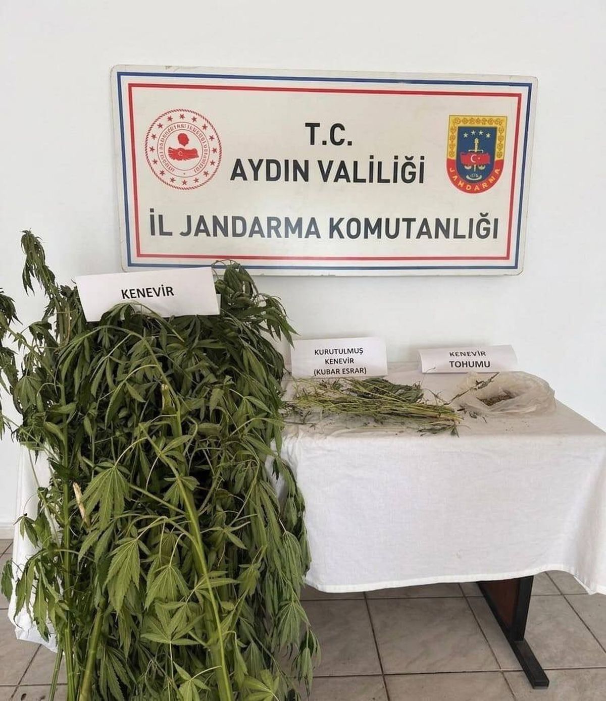 Efeler'de Yasa Dışı Kenevir Operasyonu: 2 Gözaltı