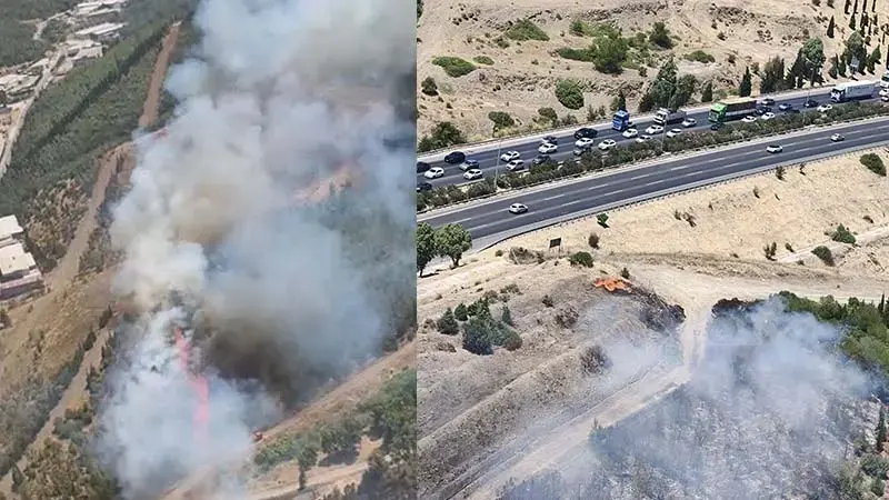 İzmir'de otluk alanda çıkan yangın, ormana sıçradı
