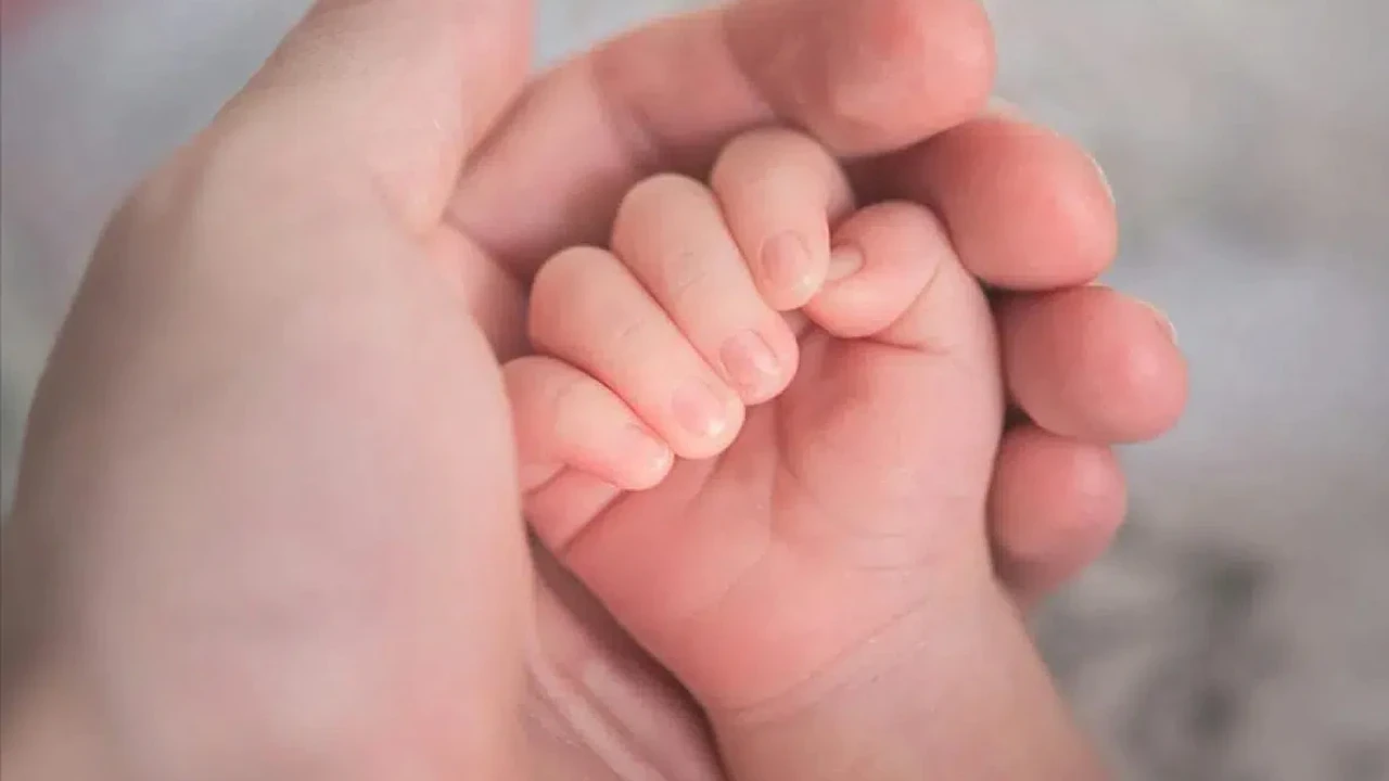 Almanya'da doğum oranı son 28 yılın en düşük seviyesinde