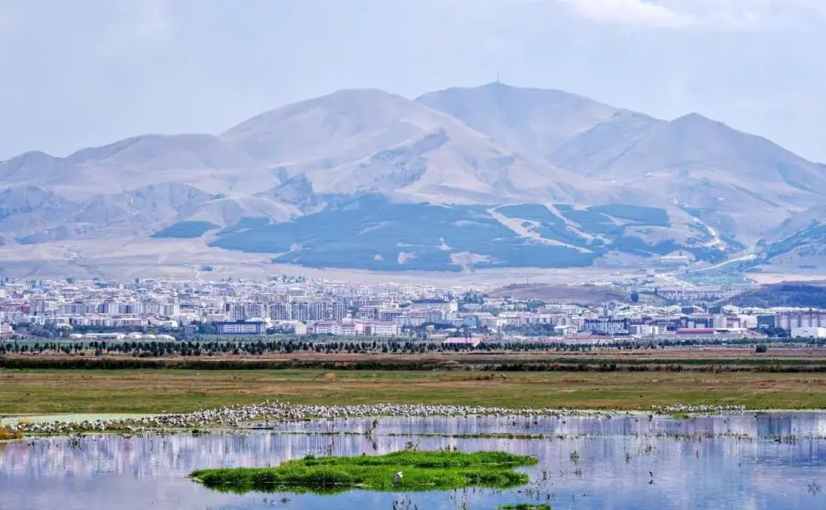 Amerikalıların Erzurum ziyareti: Yüzyıllık belgede gerçek ortaya çıktı