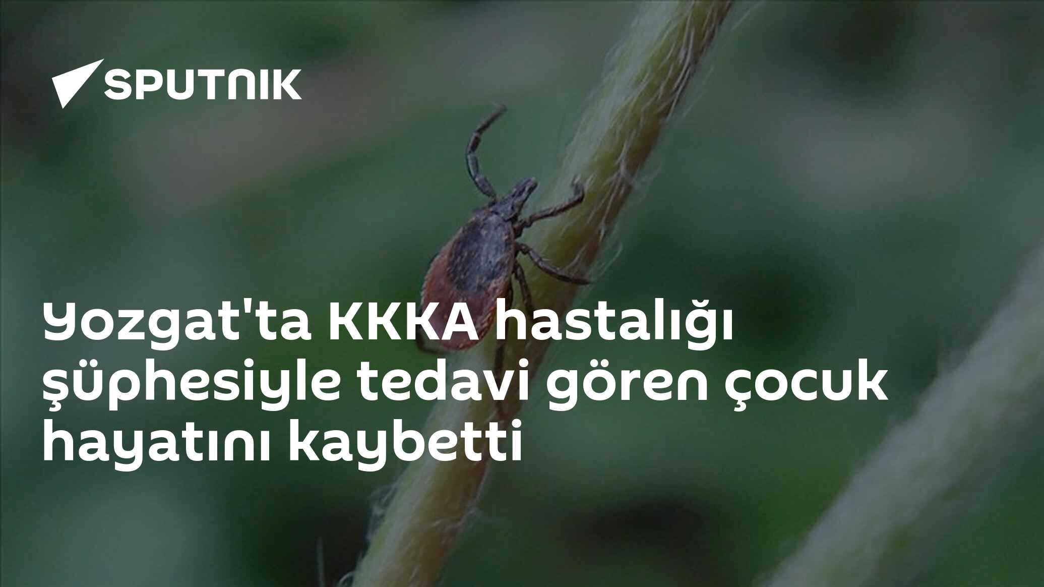Yozgat'ta KKKA hastalığı şüphesiyle tedavi gören çocuk hayatını kaybetti