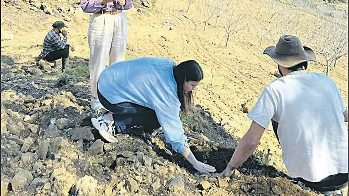 Toprağı iyileştirecek ‘Onarım Enerjisi’