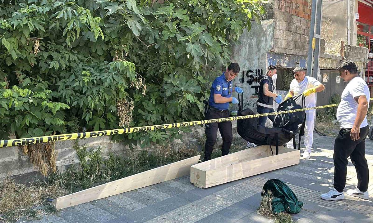 Kaybolan kedisini ararken ceset buldu