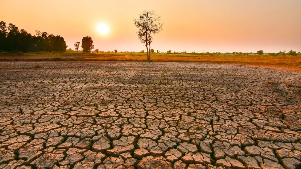 ‘Süper El Nino’ geliyor emtia alarm veriyor