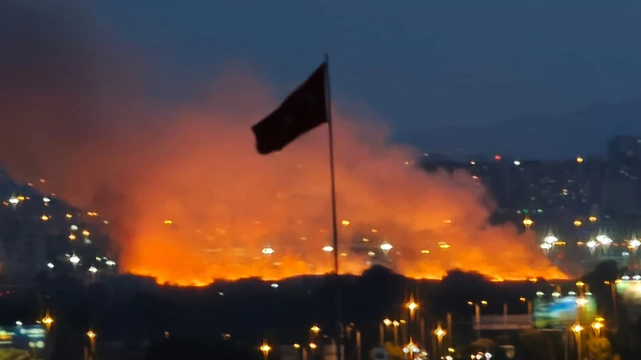 Ankara'da Otluk Alanda Yangın