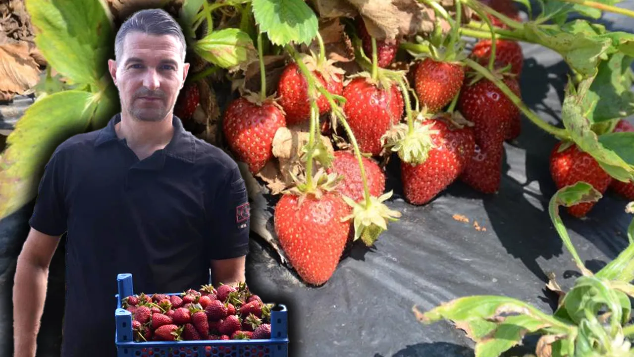 Hobi olarak 2 dönümle başladı, şimdi 42 dönümde yıllık 100 ton üretiyor!