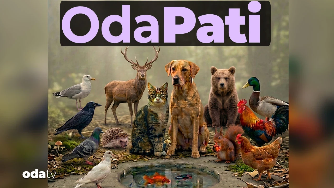 Odatv sunar: OdaPati... Yakında sizlerle