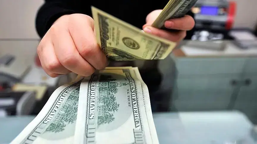 Reel efektif döviz kuru endeksi haziranda azaldı