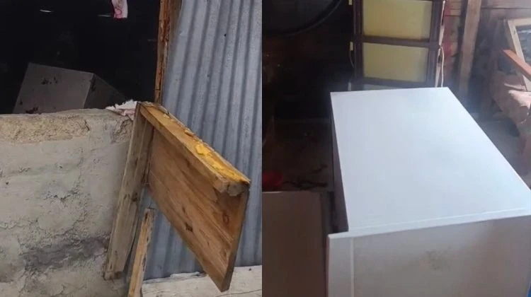Ayı paniği: Bir günde 20 eve girdi… O anlar kameraya böyle yansıdı