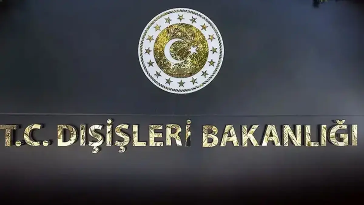 Dışişleri'nden AP'ye: Alçakça iftiralar yok hükmünde