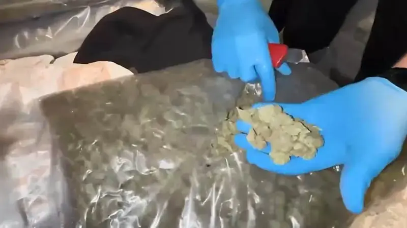 Arnavutköy ve Zeytinburnu'nda operasyon: 198 kilogram uyuşturucu ele geçirildi; 5 gözaltı