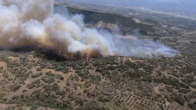 Aydın'da tarım arazisinde yangın