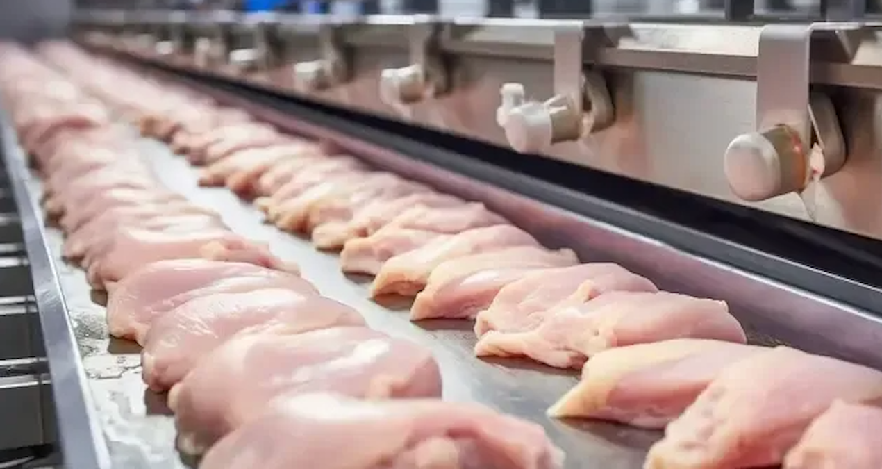 Beyaz et şirketlerine yönelik kayyum kararı kaldırıldı