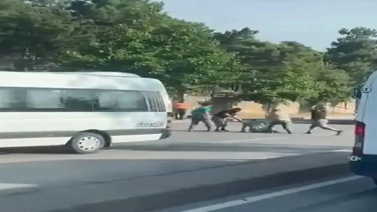 4 kişi tarafından sopalarla darbedildi! Yerde bile vurmaya devam ettiler! Saldırganlar tutuklandı