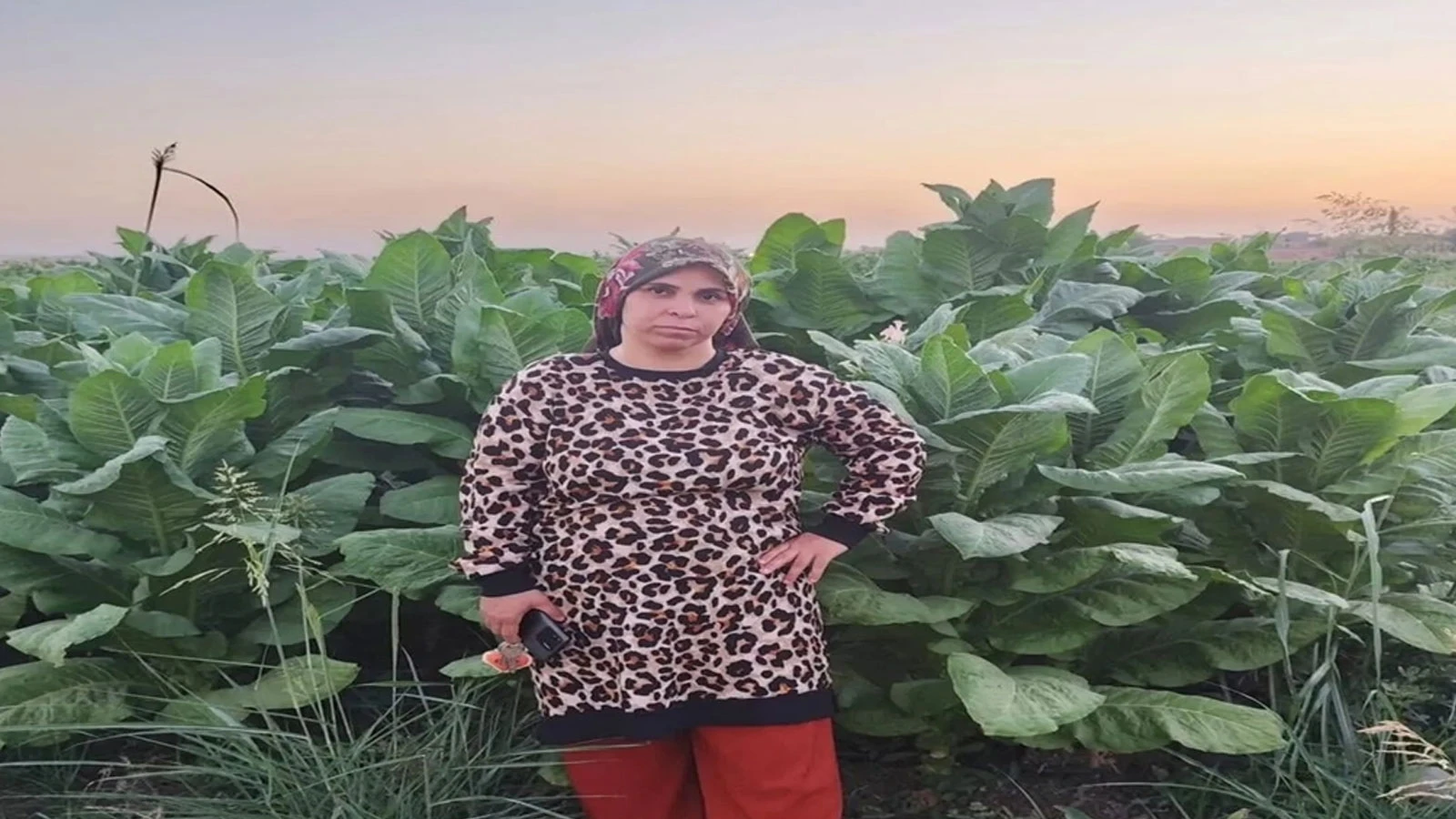 Tarlada çapa yaparken beyin kanaması geçiren 3 çocuk annesinden acı haber