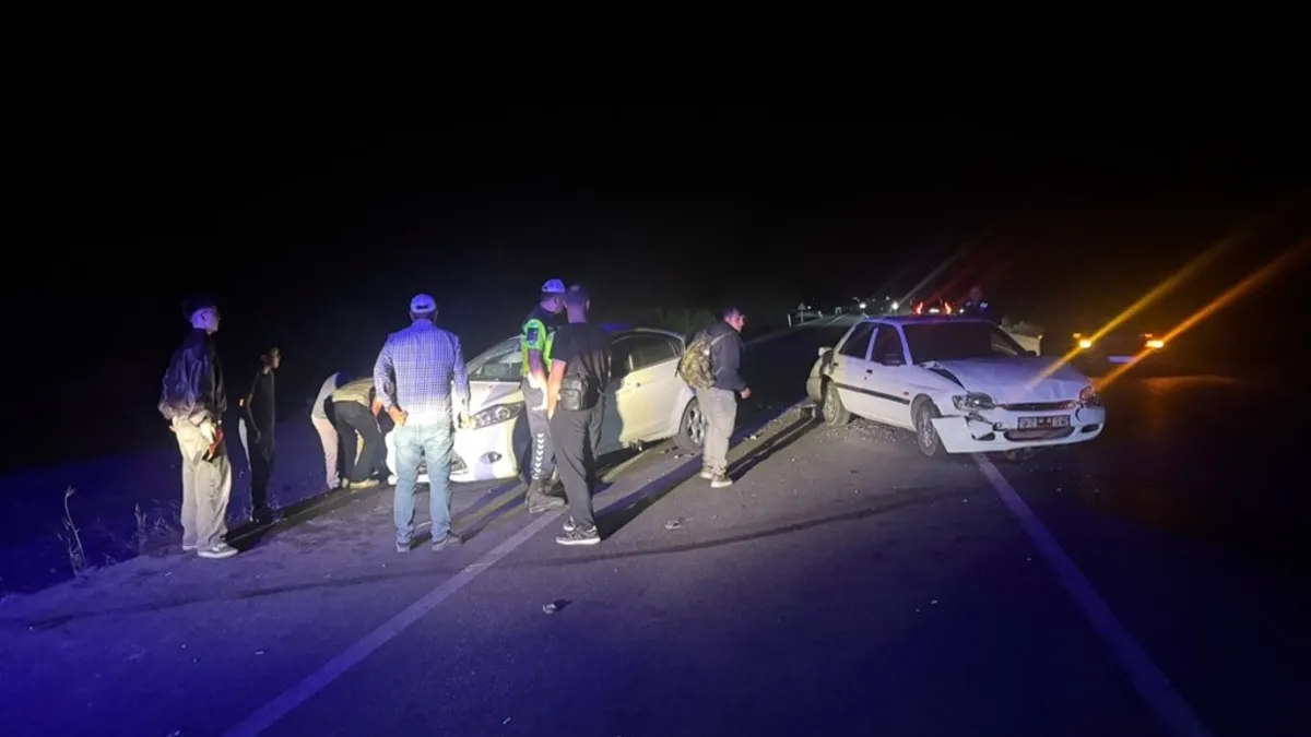 Kütahya'da koyun sürüsüne 3 araç çarptı: 3 yaralı, 6 koyun öldü