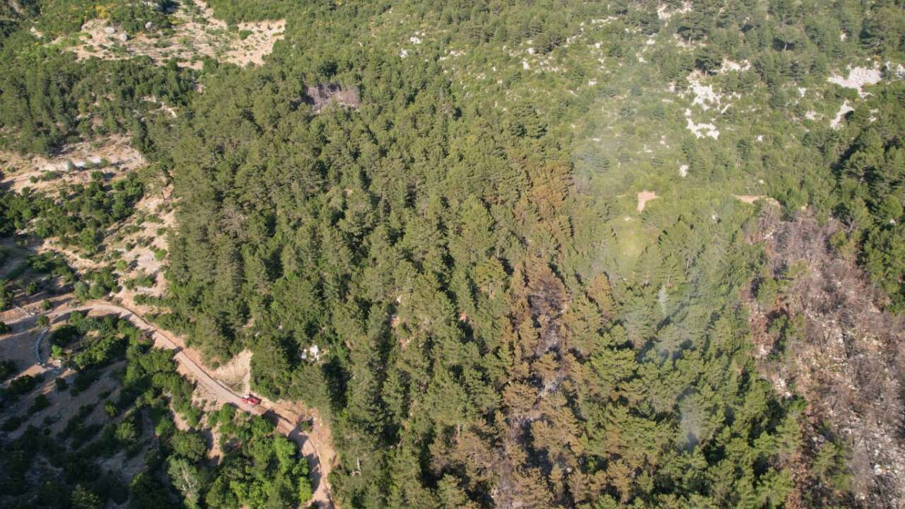 Kaş'ta ormanlık alanda çıkan yangın kontrol altına alındı