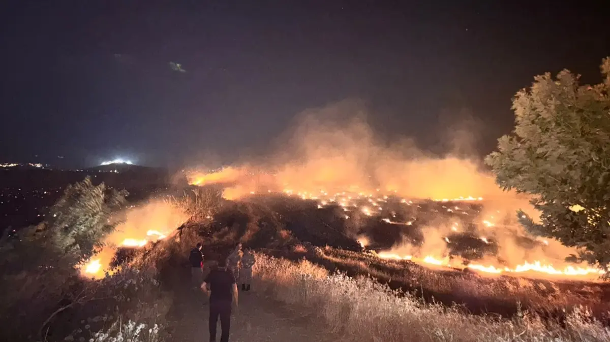 Hatay Kırıkhan'da zeytinlikte çıkan yangın kontrol altına alındı