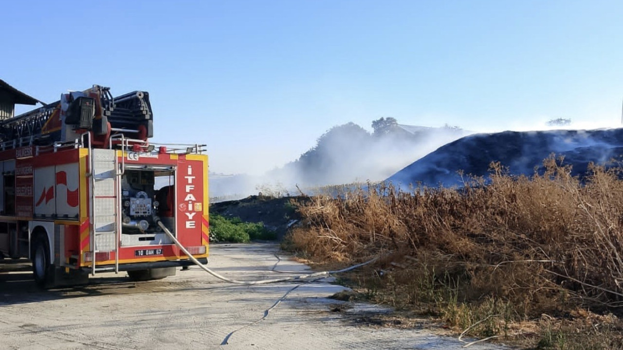 Balıkesir Susurluk'ta otluk alanda çıkan yangın söndürüldü