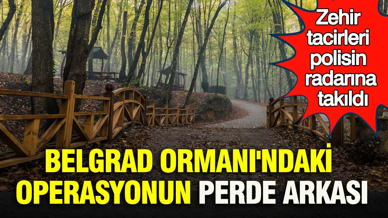 Belgrad Ormanı'ndaki operasyonun perde arkası: Zehir tacirleri polisin radarına takıldı