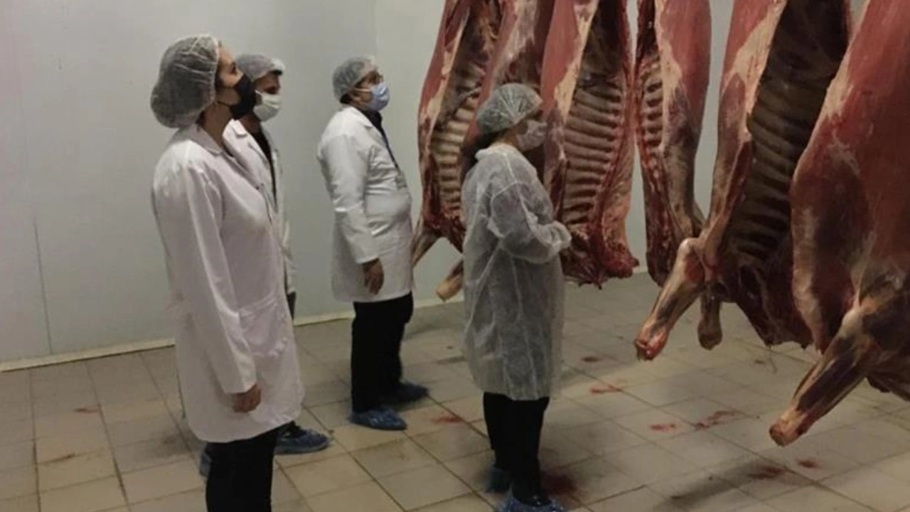 Kesimhanelere 24 saat kamera kaydı şartı: Yeni yönetmelik Resmi Gazete'de yayımlandı