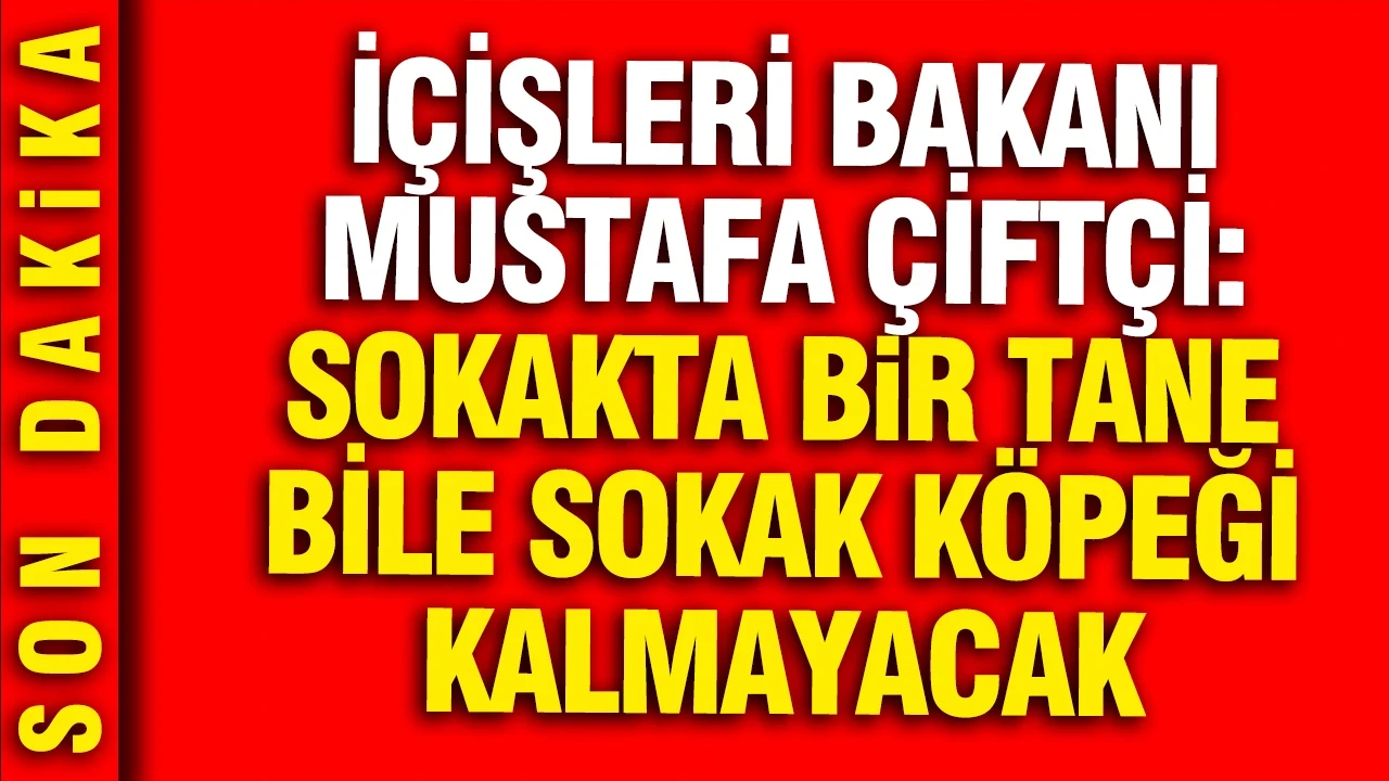 Bakan Çiftçi sokak köpekleri için tarih verdi: O güne kadar hepsi toplanacak
