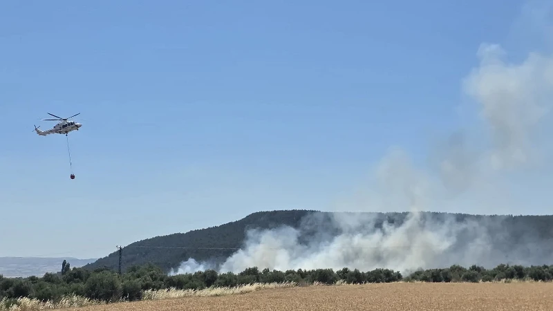 Çanakkale'de korkutan yangın: Tarım arazisindeki alevlere çok sayıda ekip müdahale etti