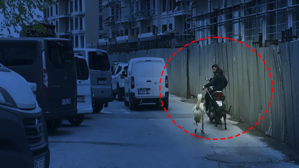 Motosikletin arkasına bağladığı köpeği metrelerce koşturdu: O sürücüye 8 bin 678 lira ceza kesildi