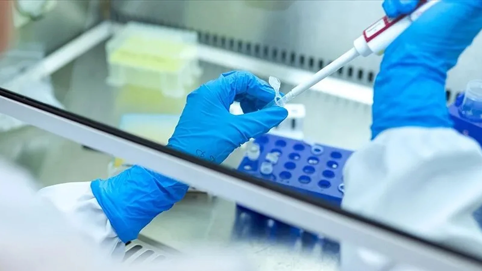Kanserde kritik eşik: DSÖ'den 35 milyon vaka uyarısı