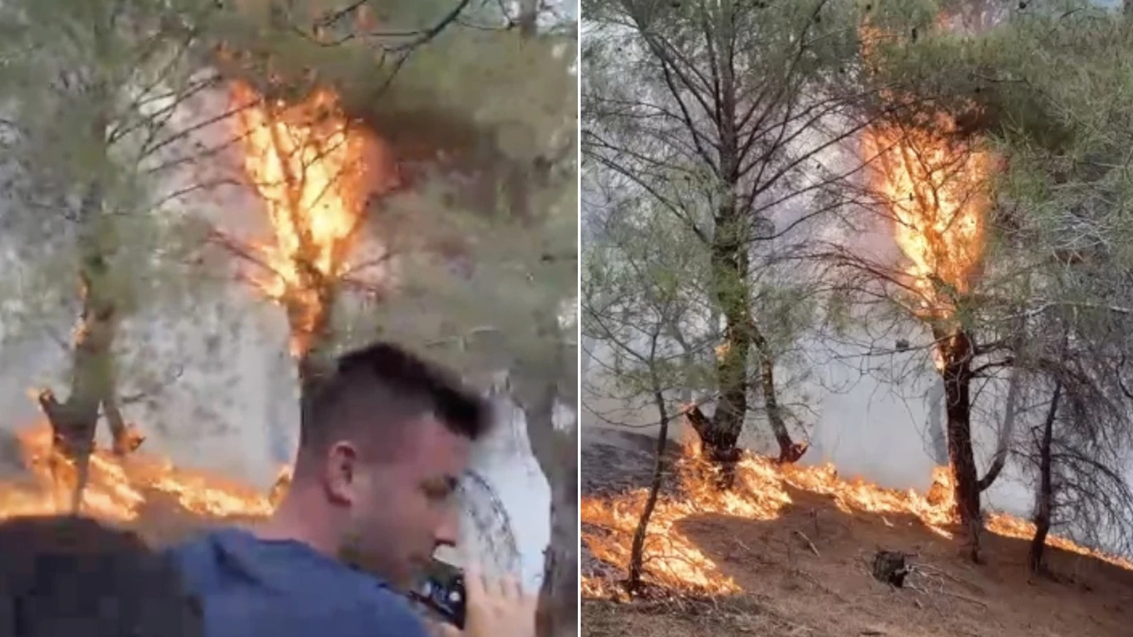Balıkesir'de korkutan orman yangını