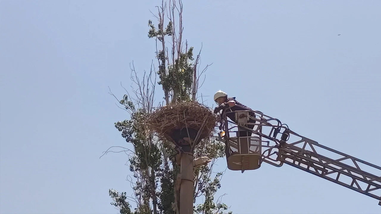 Ayağı ipe dolanan leyleğin yardımına itfaiye koştu