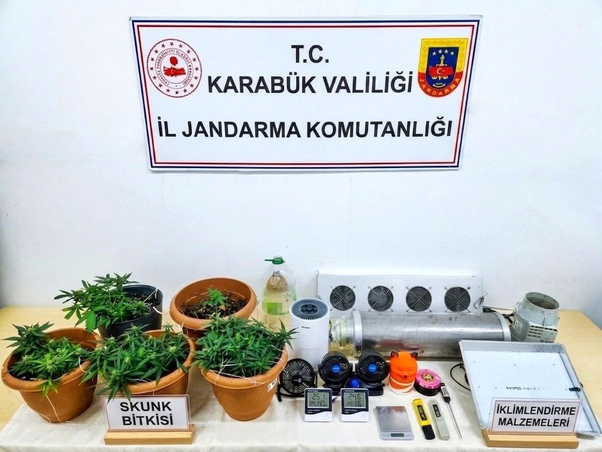 Karabük'te uyuşturucu operasyonu: Skunk serası ortaya çıkarıldı