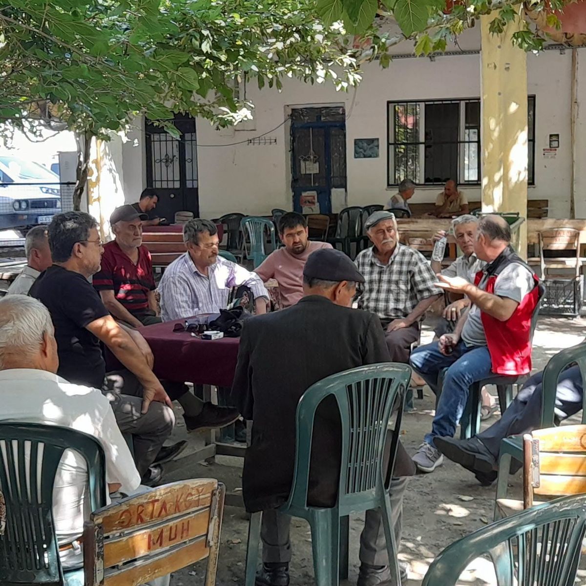 Muğla'da Tarla Faresi ile Mücadele: Uzman Ekipler Sahada, Zehirli Yem Dağıtıldı