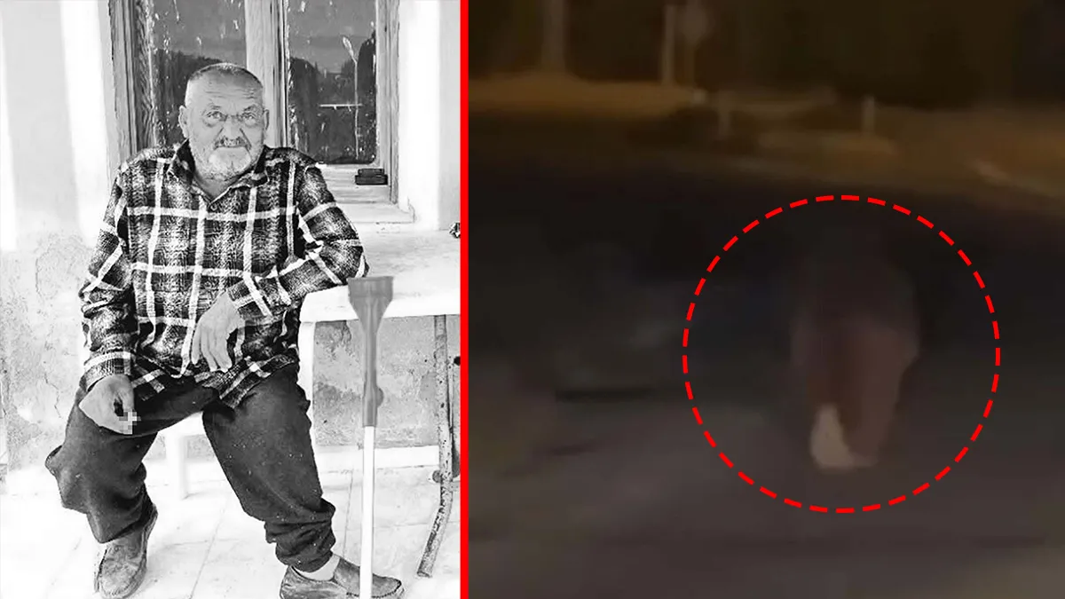 İzmir’de ayı dehşeti! Evinde uyuyan adamın başına gelmeyen kalmadı: Balkondan alıp 20 metre boyunca…