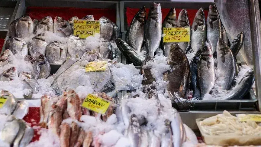 Muğla'dan 422 milyon dolarlık su ürünleri ihracatı