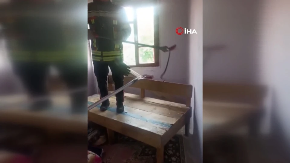 Osmaniye'de Müstakil Eve Giren Yılan Halının Arasından Çıktı