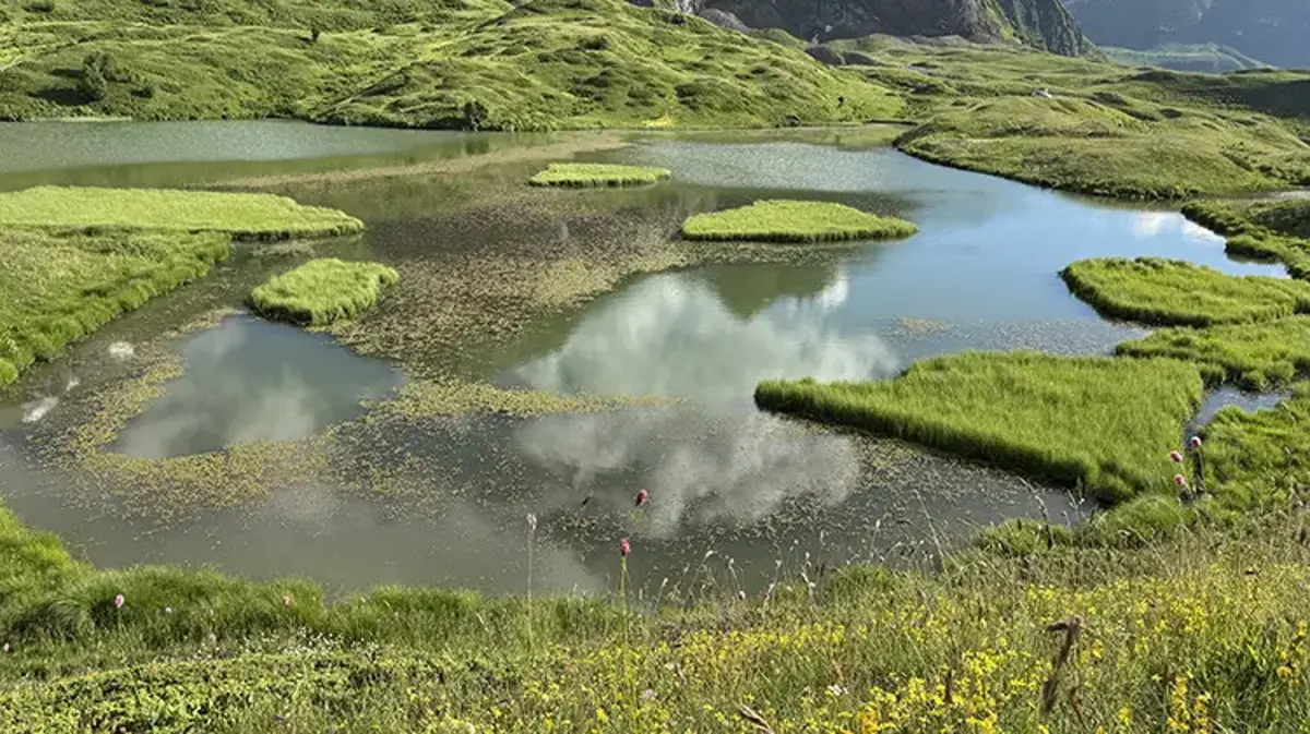 Bulutların üzerindeki cennet: Artvin'in yüzen adalı Arsiyan Yaylası ziyaretçi akınına uğruyor!