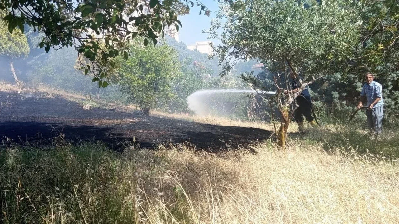 Zeytinlik alanda alevler yükseldi: Hatay'da yangın