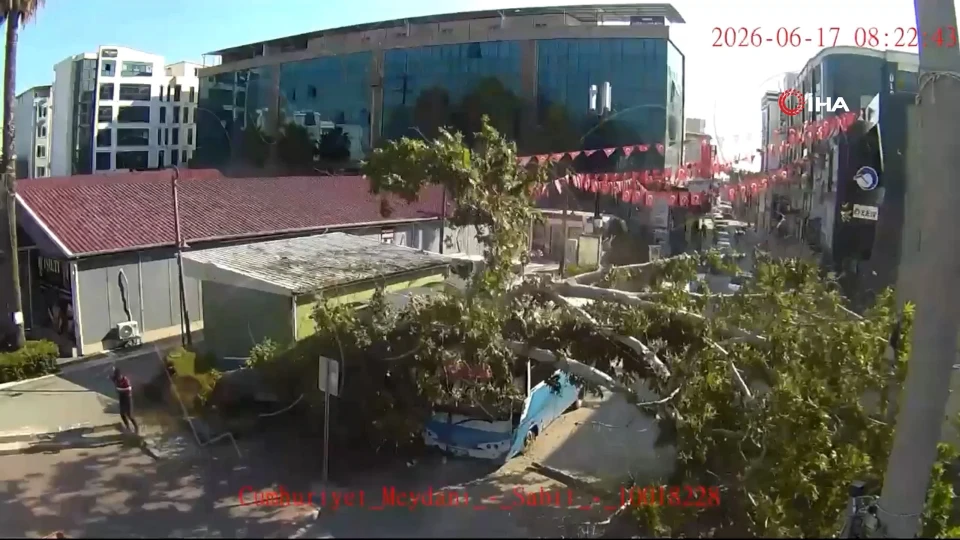Osmaniye’de Fırtına Gibi Olay: Otobüsün Üzerine Ağaç Düştü