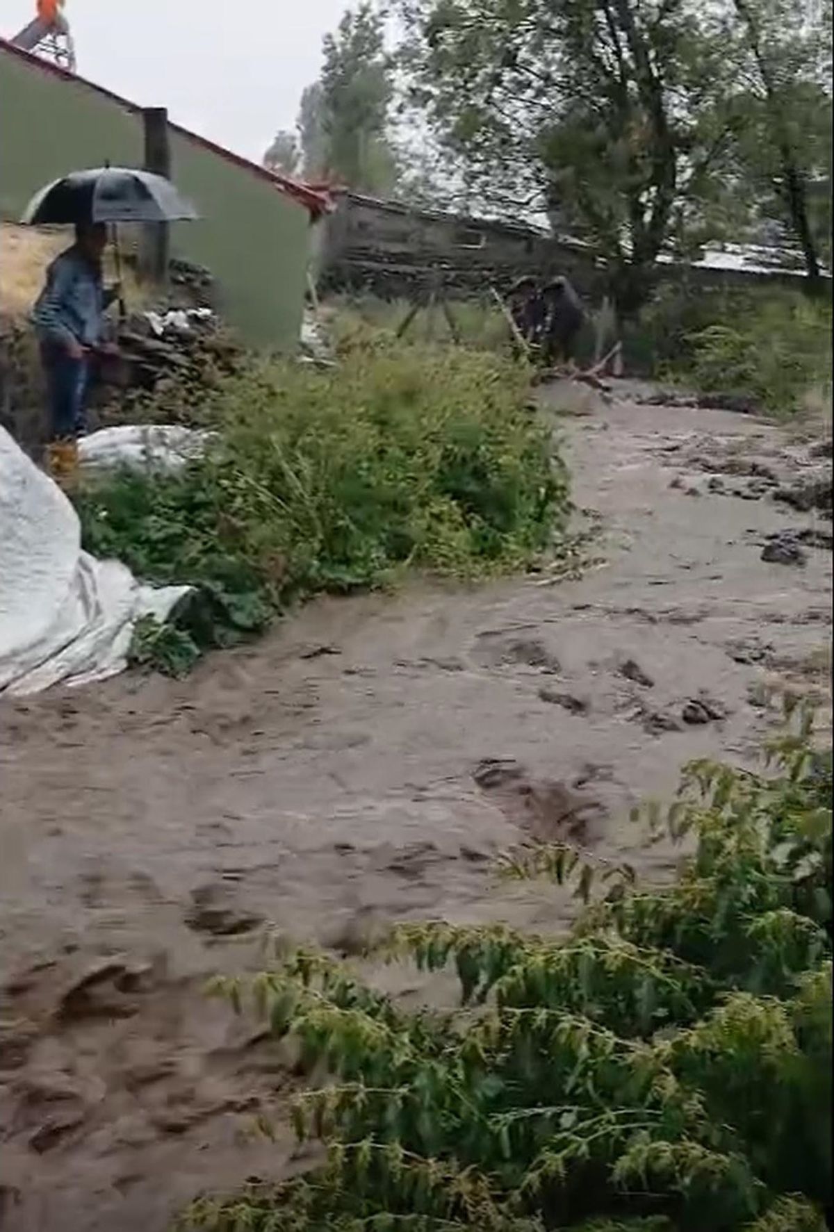 Kars'ta sel; ev, ahır ve tarım arazileri zarar gördü
