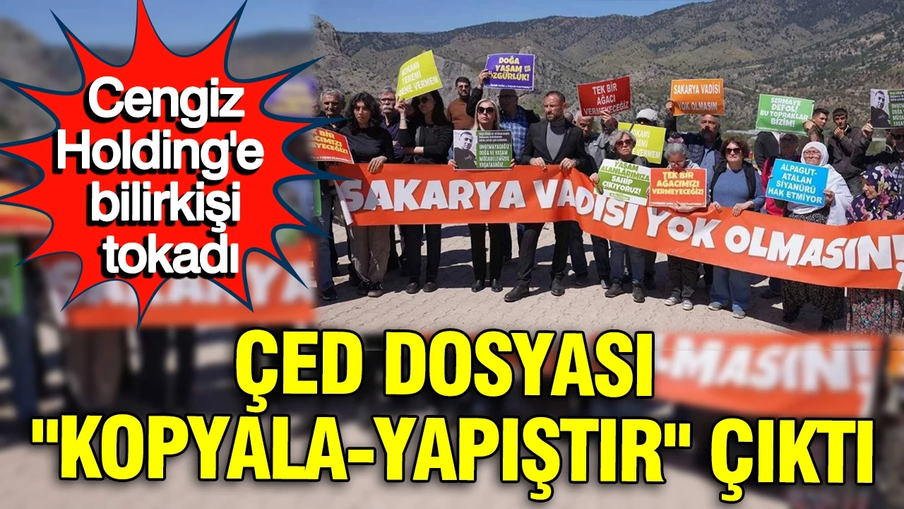 Cengiz Holding'e bilirkişi tokadı: ÇED dosyası 'kopyala-yapıştır' çıktı