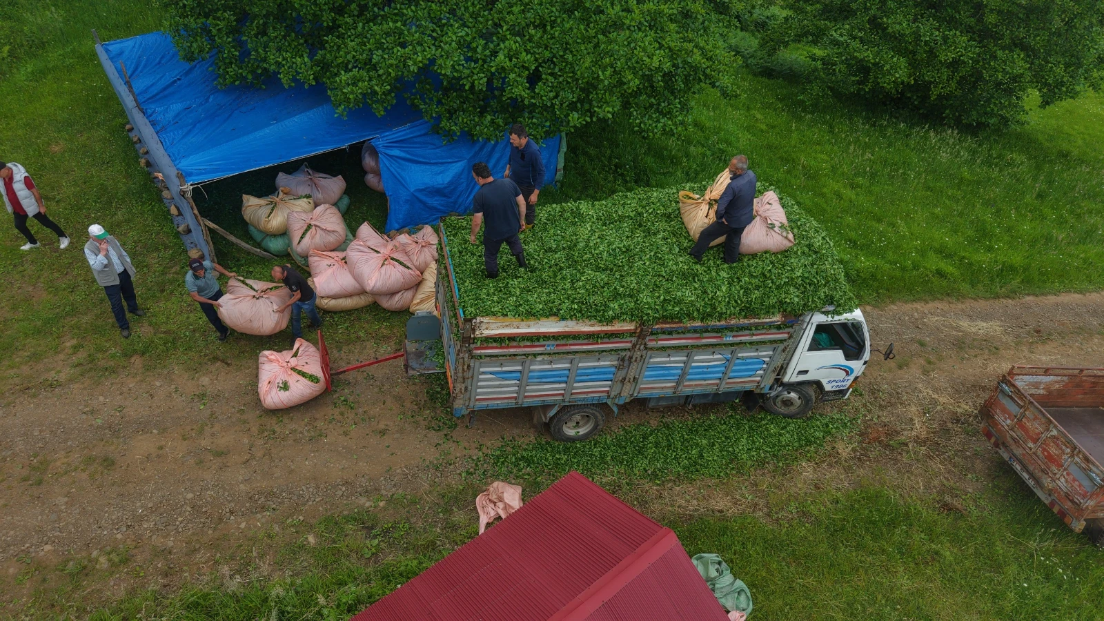 Karadeniz insanı yine zekasını konuşturdu, zor işi kolaylaştırdı