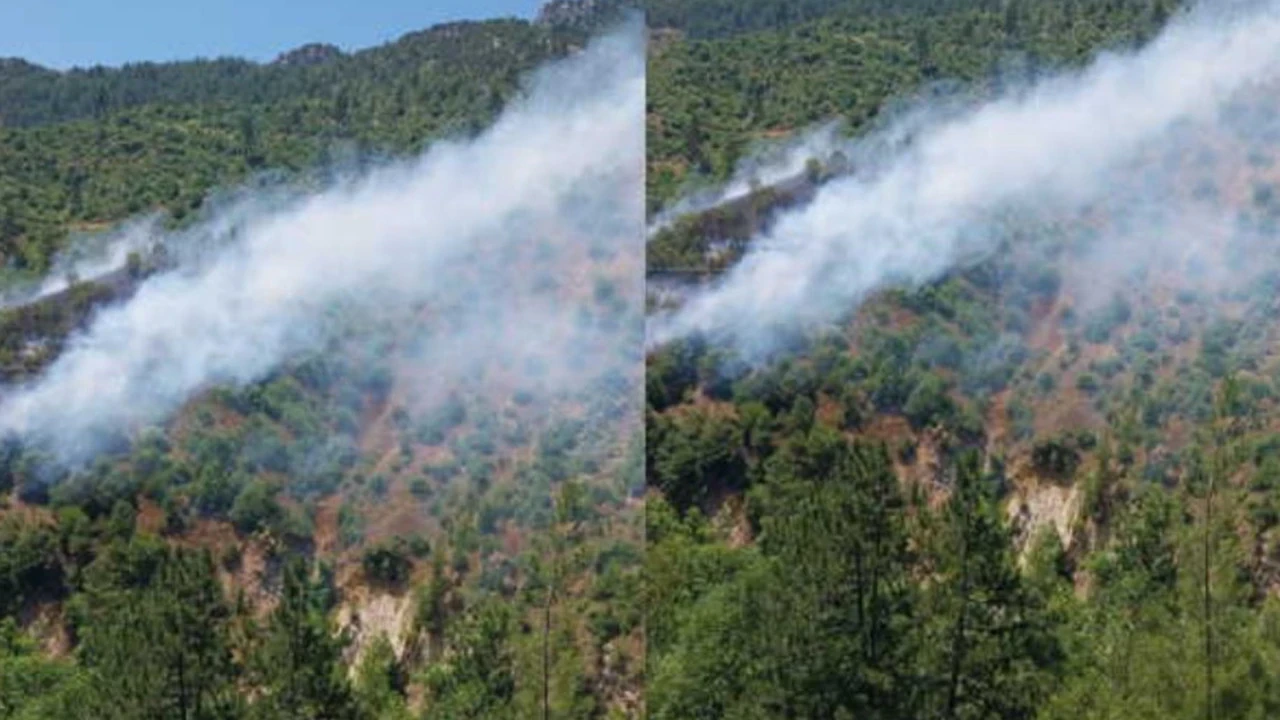 Adana'da orman yangını